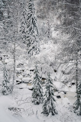 Similar image 21842813