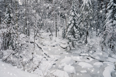 Similar image 21838265