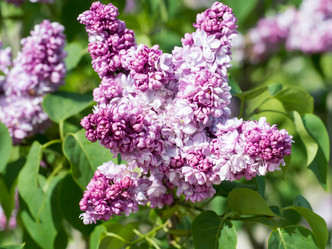 Similar image 21836282