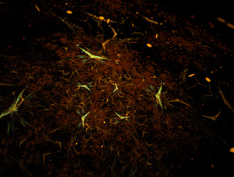 Similar image 21840003