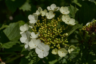 Similar image 21832993