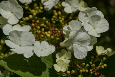 Similar image 21828364