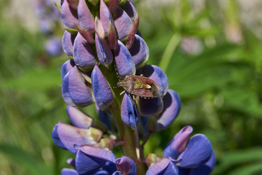 Similar image 21832994