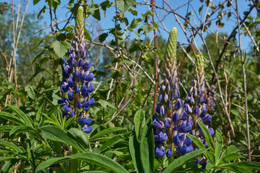 Similar image 21828365