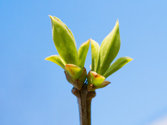 Similar image 21836311