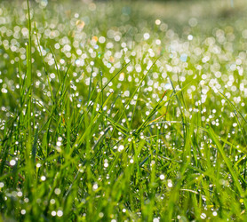 Similar image 21836322