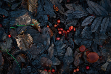 Similar image 21836327