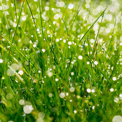 Similar image 21836333