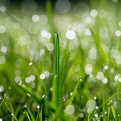 Similar image 21836335