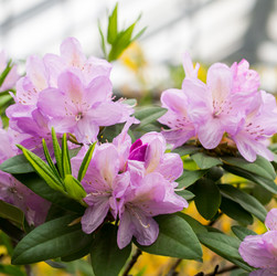 Similar image 21836341