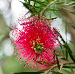 Similar image 21836345