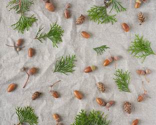 Similar image 21836350