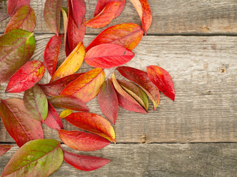 Similar image 21836356