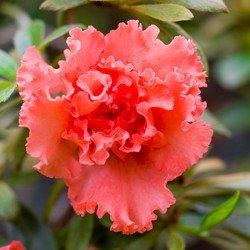 Similar image 21836358