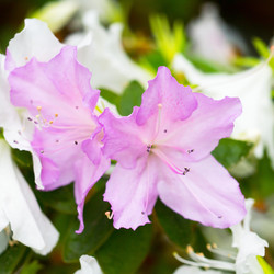 Similar image 21836364