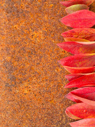 Similar image 21836365