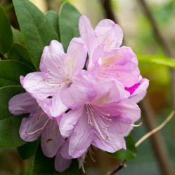 Similar image 21836372