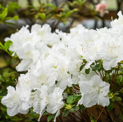 Similar image 21836374