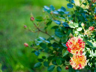 Similar image 21836376