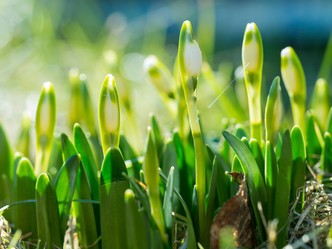 Similar image 21836377