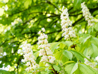 Similar image 21836380