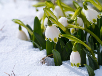 Similar image 21836381