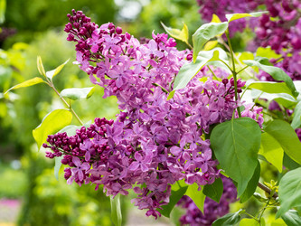 Similar image 21836384