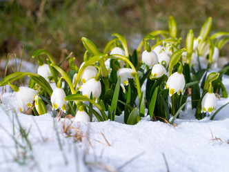 Similar image 21836385