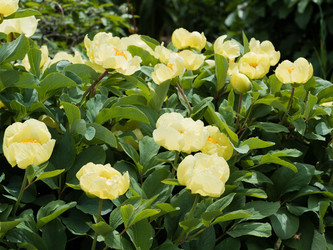 Similar image 21836386