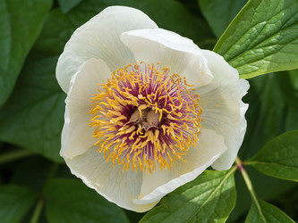 Similar image 21836394