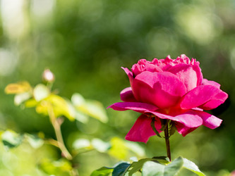 Similar image 21836411