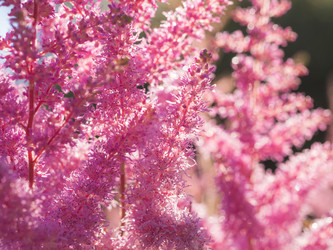 Similar image 21836417