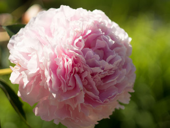 Similar image 21836431