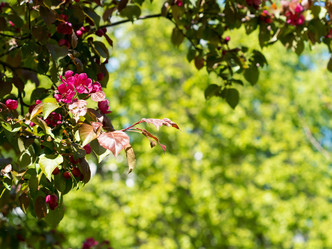 Similar image 21836435