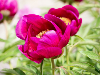 Similar image 21836437