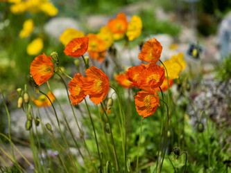 Similar image 21836439