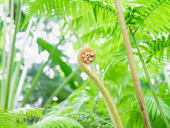 Similar image 21835850