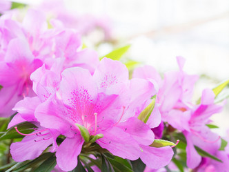 Similar image 21835854