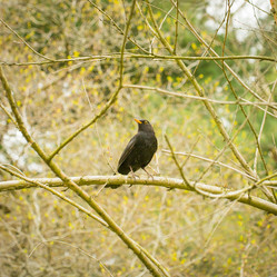 Similar image 21835856