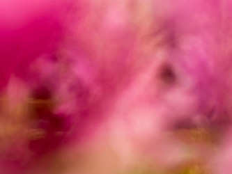 Similar image 21835857