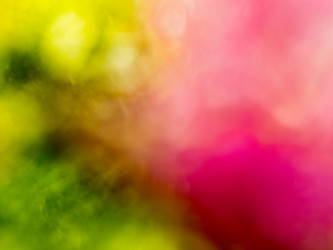 Similar image 21835859