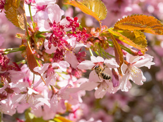 Similar image 21835863