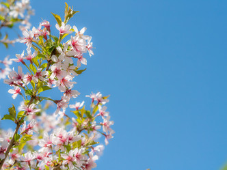 Similar image 21835865