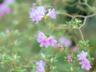 Similar image 21835870