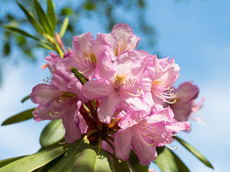 Similar image 21835873