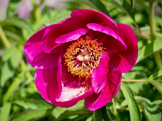 Similar image 21835875