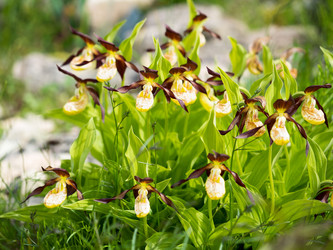 Similar image 21835877