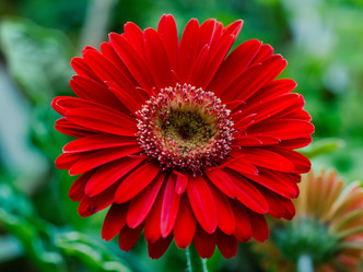 Similar image 21835878