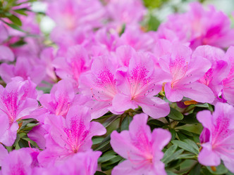 Similar image 21835882