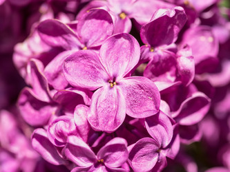 Similar image 21835883